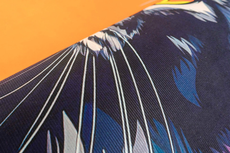 Dywan 3D Strado MAIN COON 100x150 cm nowoczesny do pokoju gracza