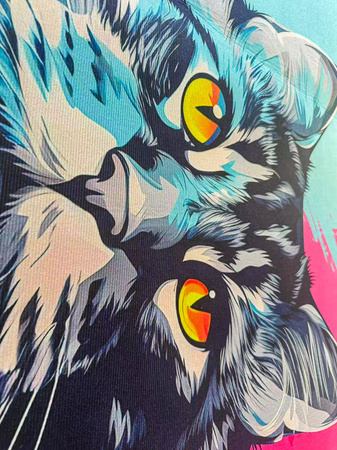 Dywan 3D Strado MAIN COON 100x150 cm nowoczesny do pokoju gracza